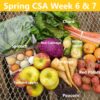 Spring CSA - Image 4